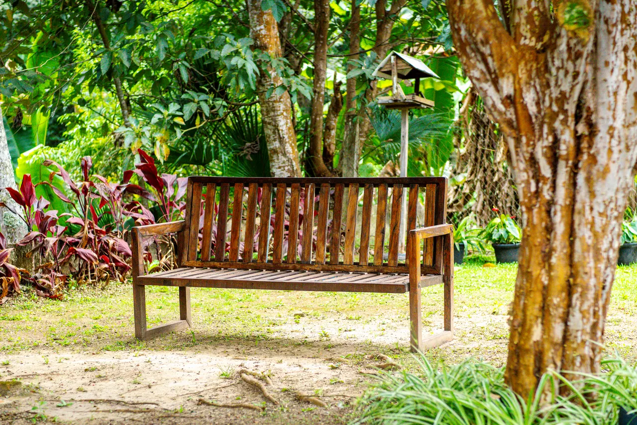 Banco de madeira no jardim